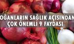 Soğanın Faydaları ve Zararları Nelerdir?